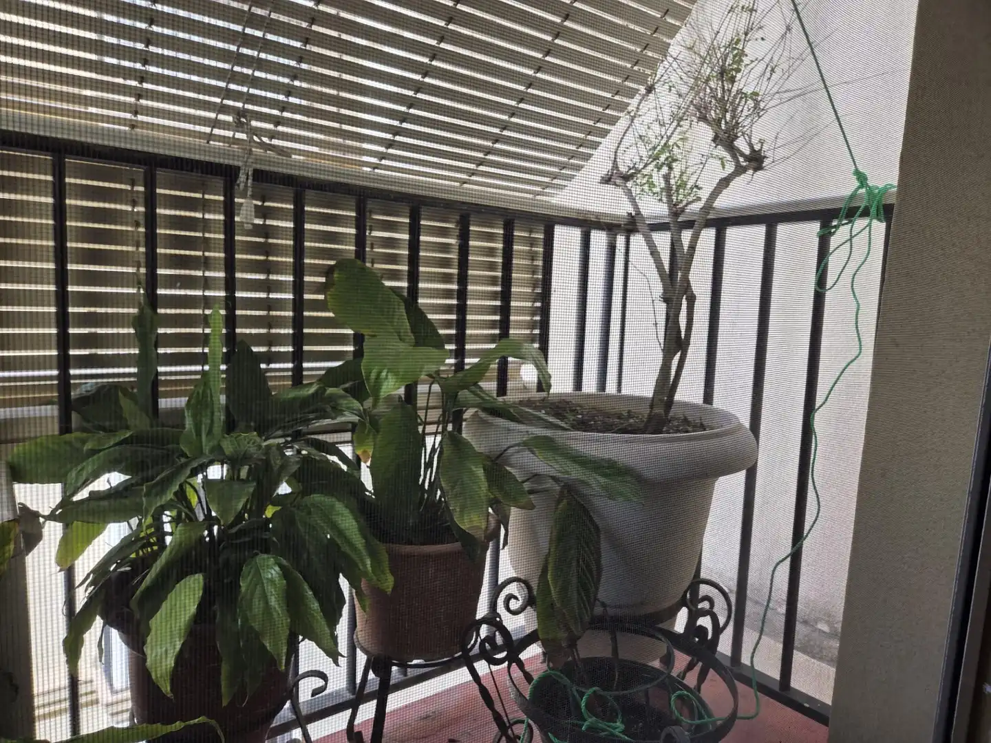 Terrassa de Pis en venda en Cádiz