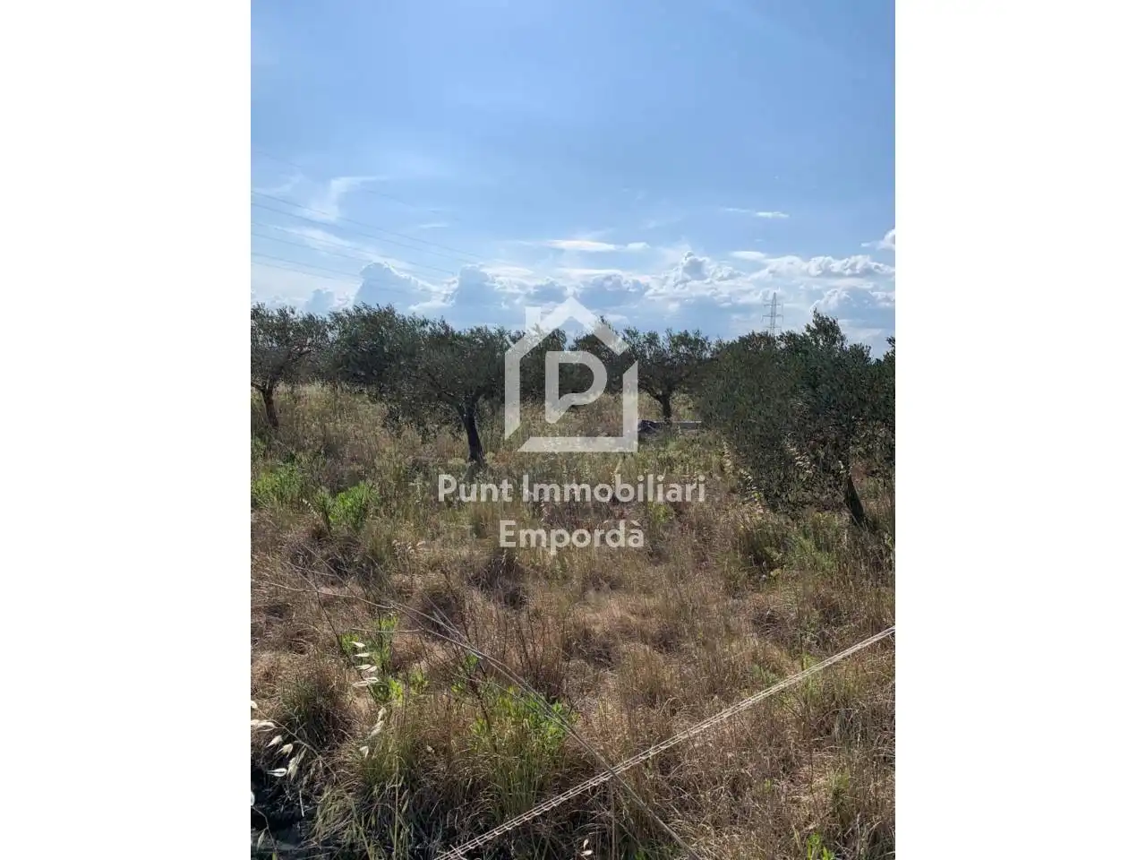 Terreny residencial en venda a Polígono Terra Mala 9, imagen 6