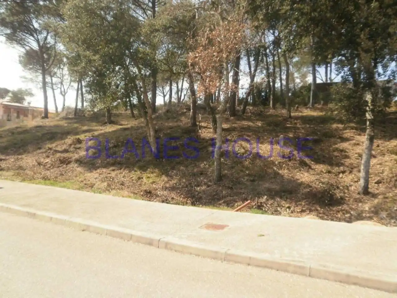 Terreno rústico en venta en La Goba, imagen 3