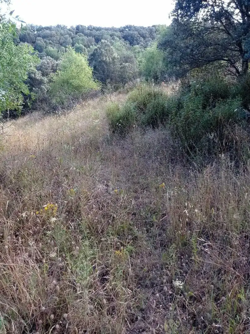 Finca rústica en venda en Puentes Viejas
