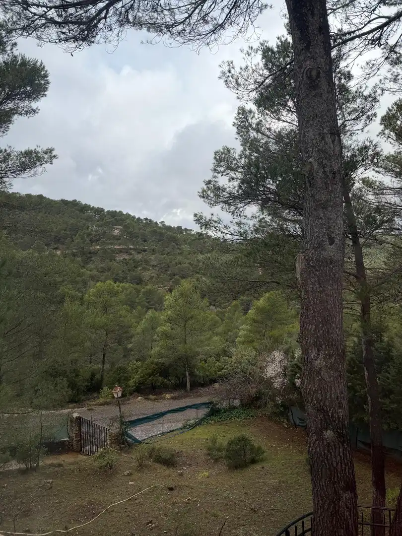 Xalet amb piscina en venda a Calle Nueva Sierra, imagen 2