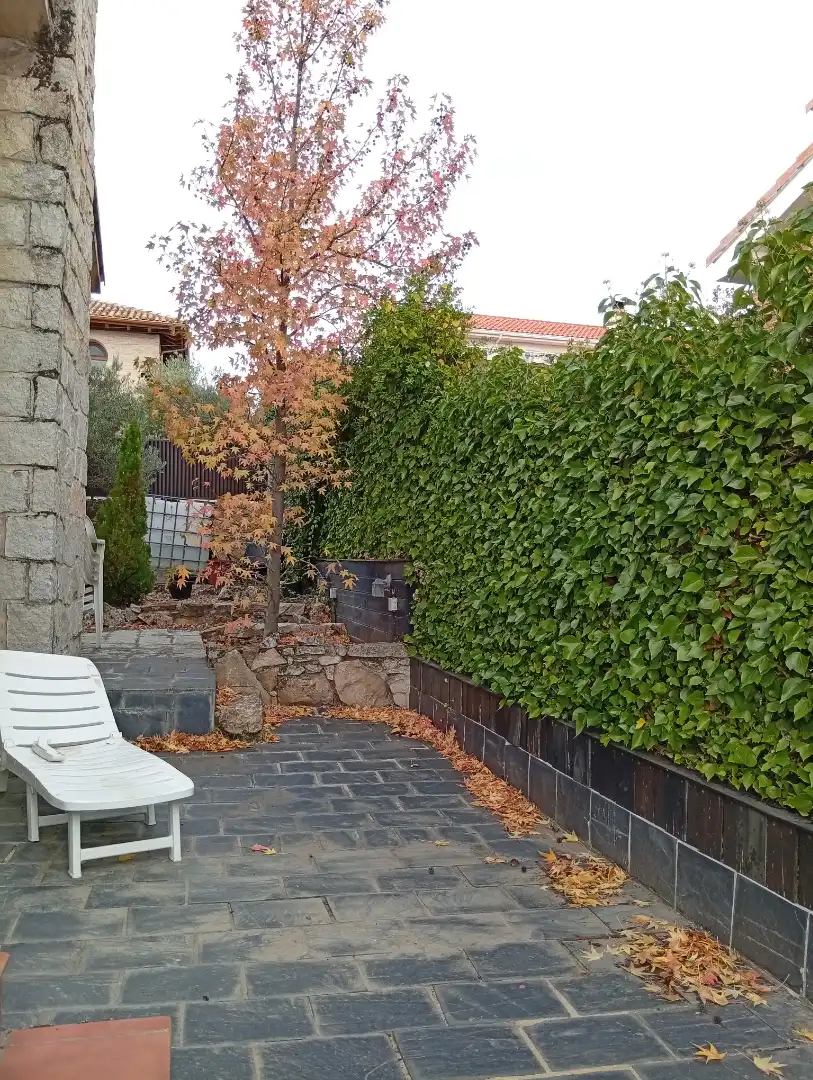 Jardí de Casa o xalet en venda en Guadalix de la Sierra amb Jardí privat, Terrassa i Traster