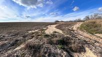 Land for sale in Casarrubios del Monte