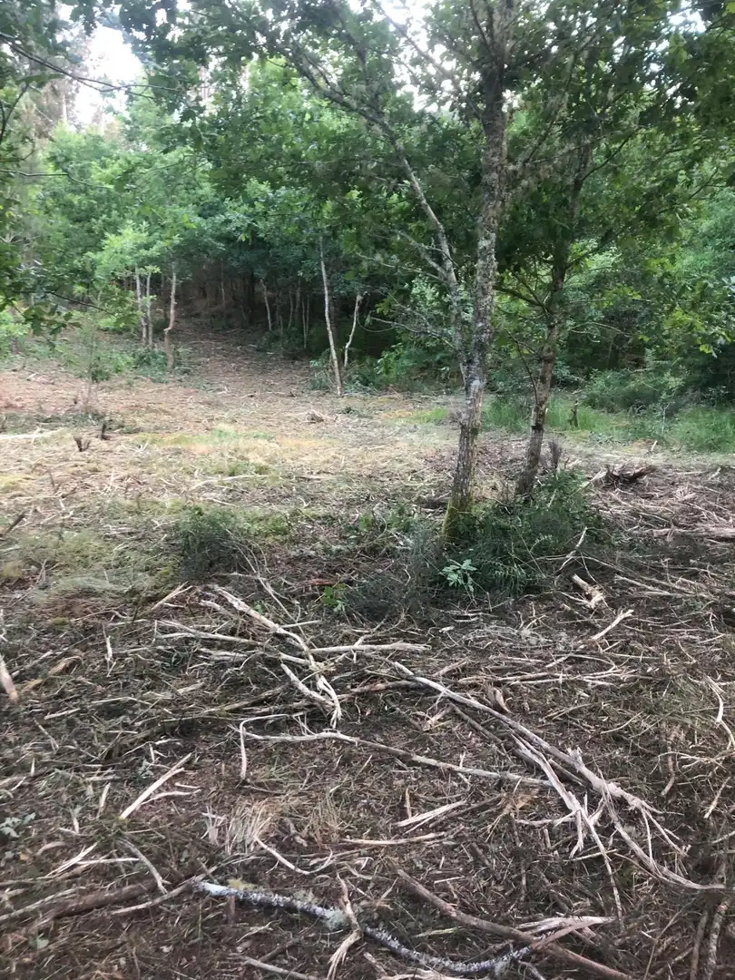 Residencial en venda en Cotobade
