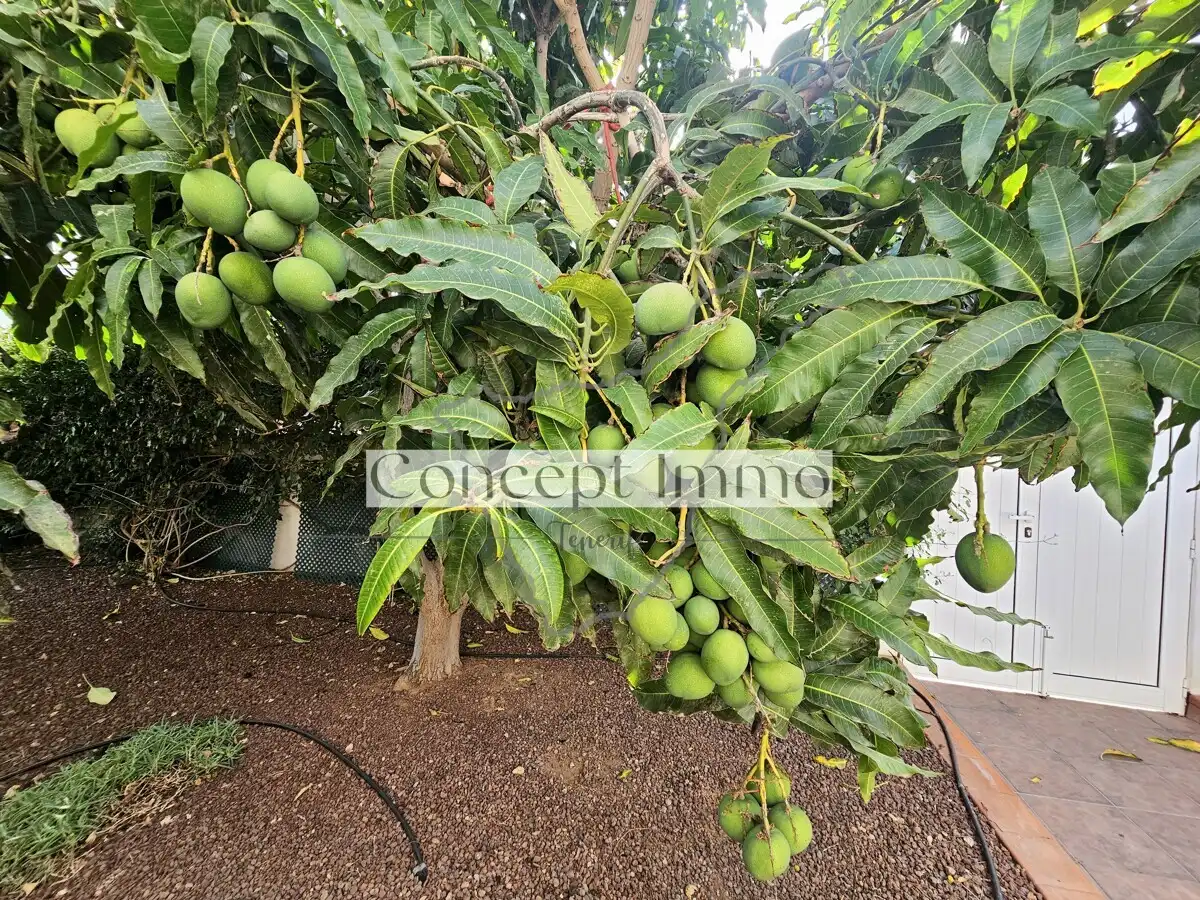 Casa o xalet en venda en Arona amb Jardí privat, Terrassa i Traster