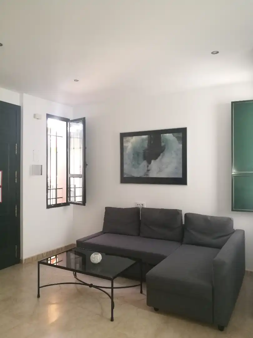 Sala d'estar de Apartament de lloguer en Sevilla amb Aire condicionat, Moblat i Rentadora