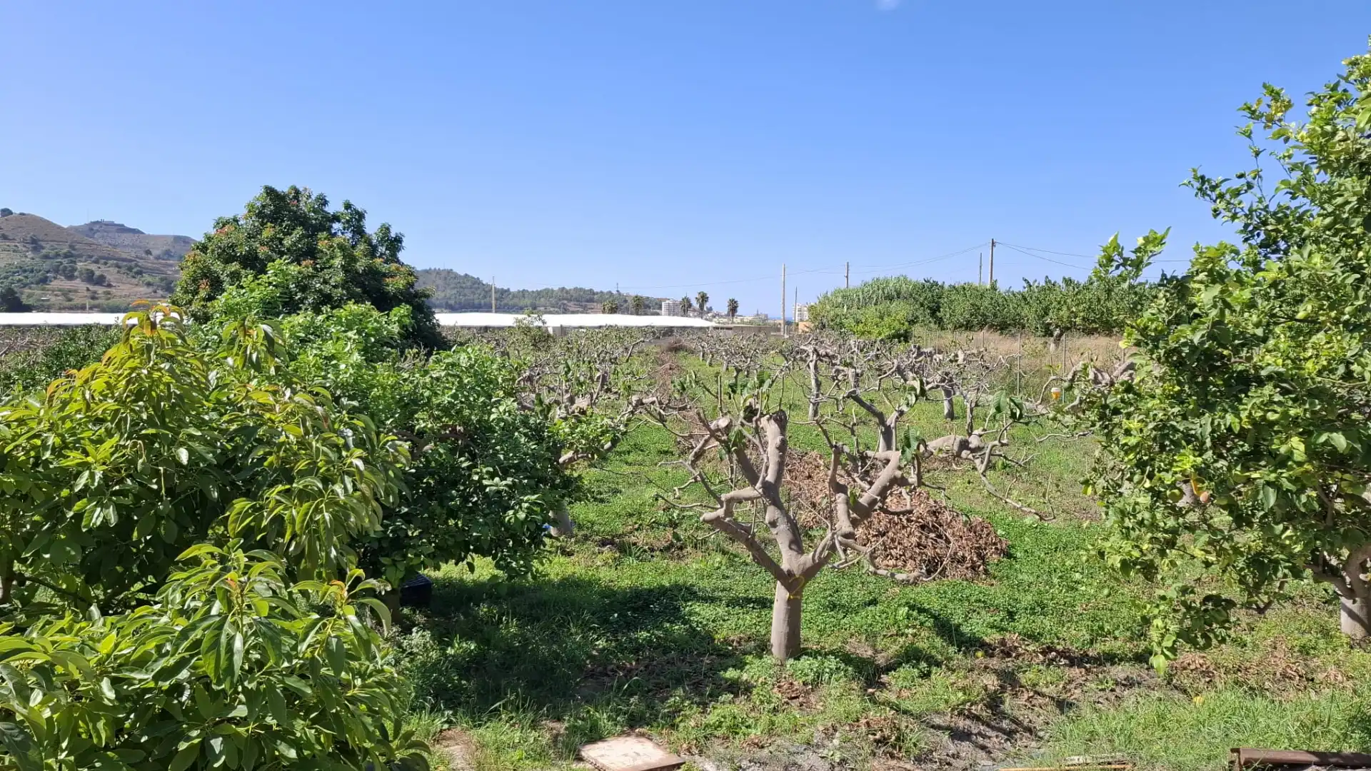 Land for sale in Torrenueva Costa
