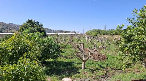 FINCA A LA VENTA EN TORRENUEVA COSTA