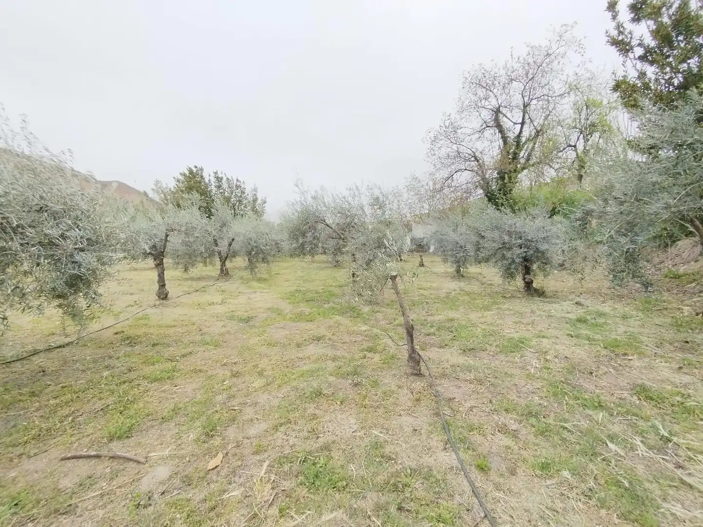 Terreni e lotti in vendita a Carretera Cenes de la Vega, imagen 14