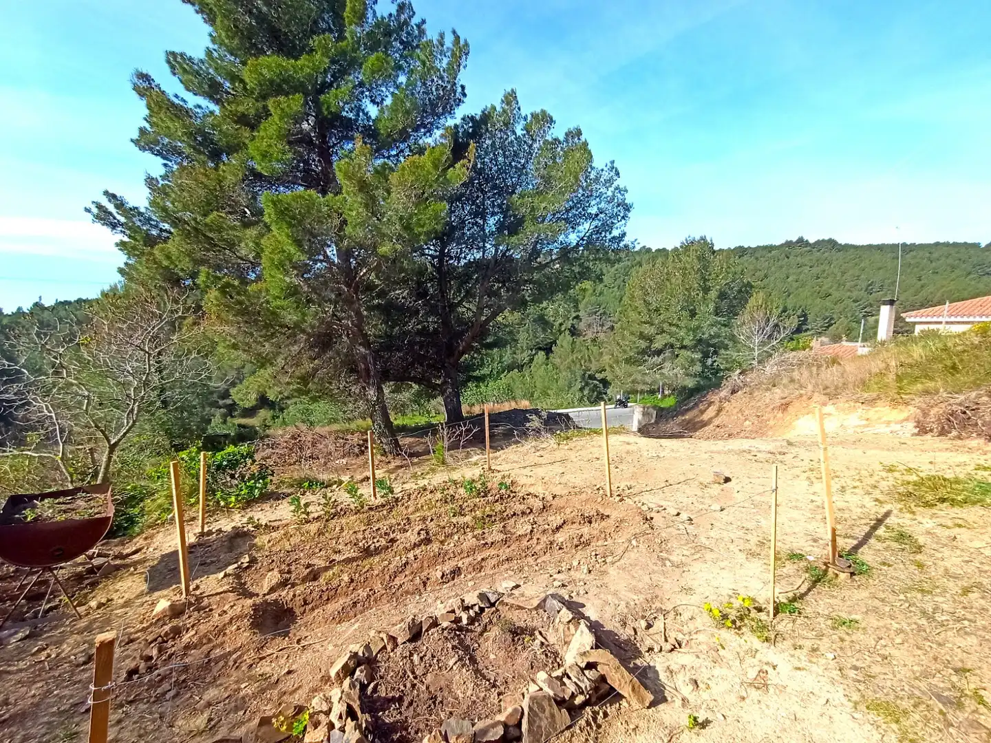 Residential land for sale in Almoster, imagen 2