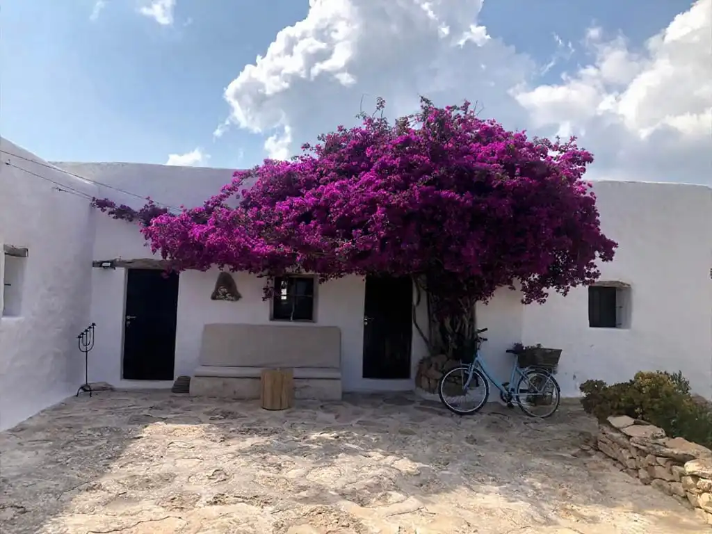 Vista exterior de Casa o chalet en venta en Formentera con Jardín privado, Terraza y Piscina