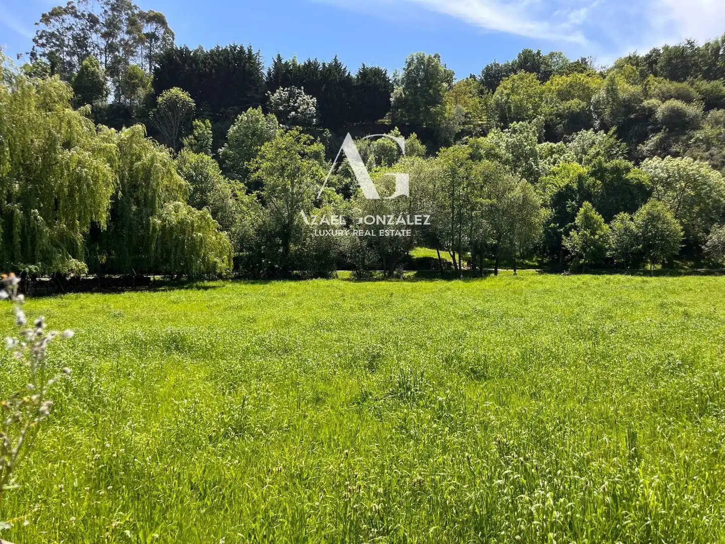 Land for sale in Ruente