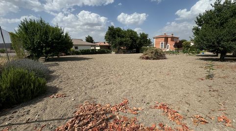 Panaderos Valladolid Inmobiliaria, Parcela de urbana en Megeces, immagine 2