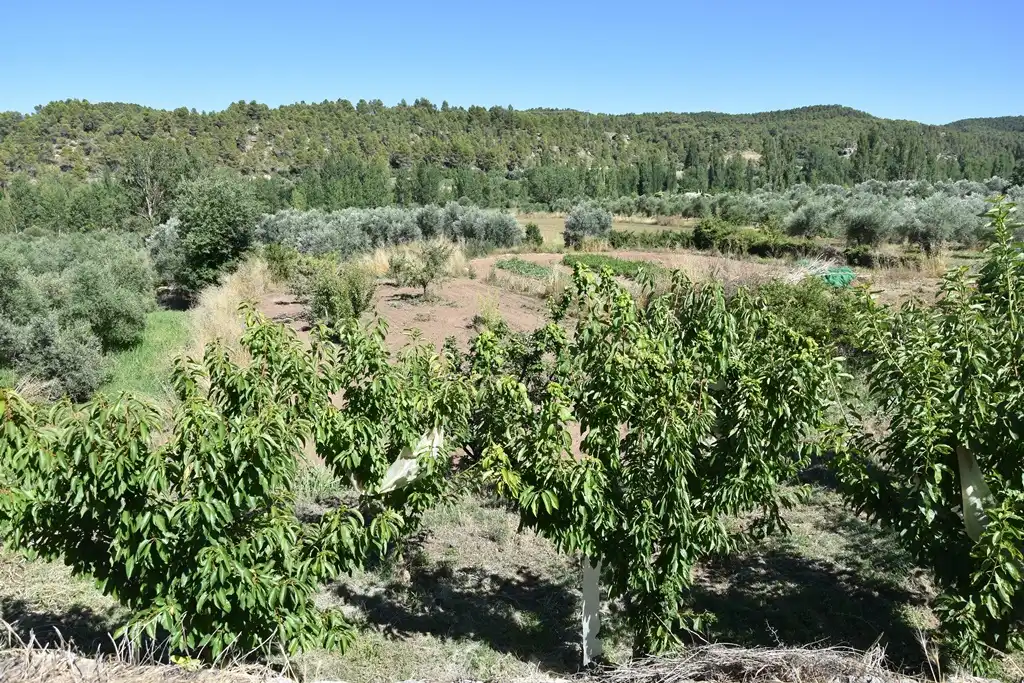 Terreni e lotti in vendita a La Fresneda, imagen 20