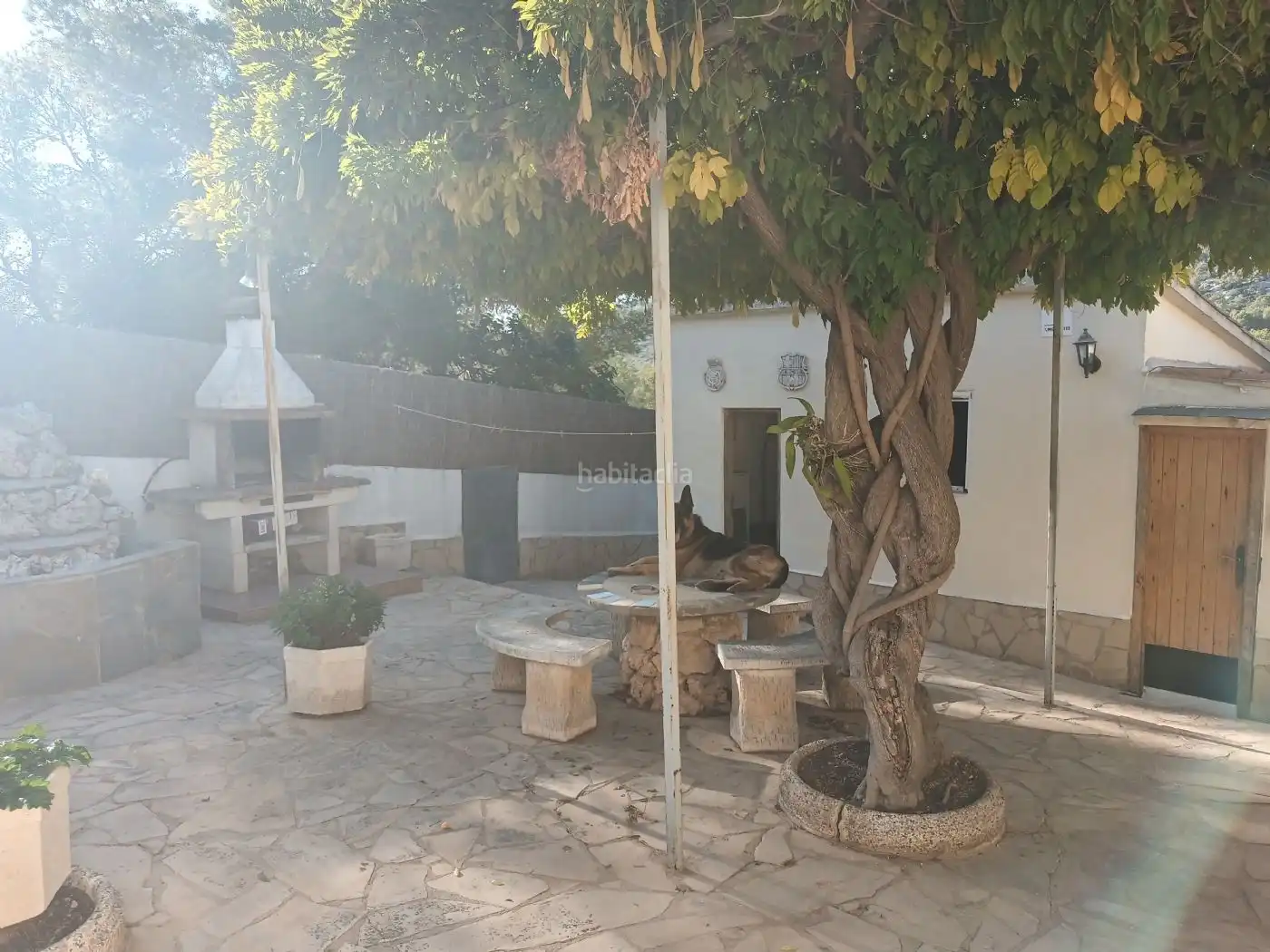 Casa con jardín en venta en Carrer de Sant Pere Molanta 45, imagen 11
