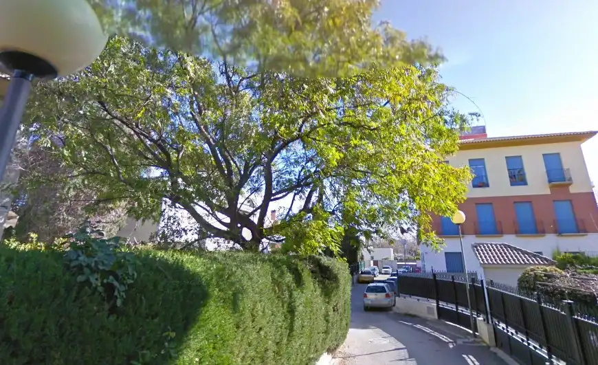 Terreno rústico en venta en C/ Alameda Constitución, Diputación de Sutullena, imagen 3