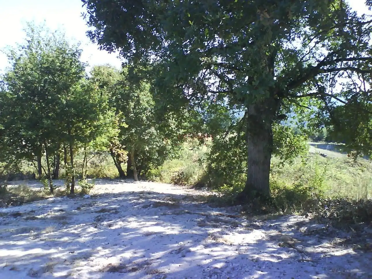 Terreni e lotti in vendita a Nogueira de Ramuín, imagen 24