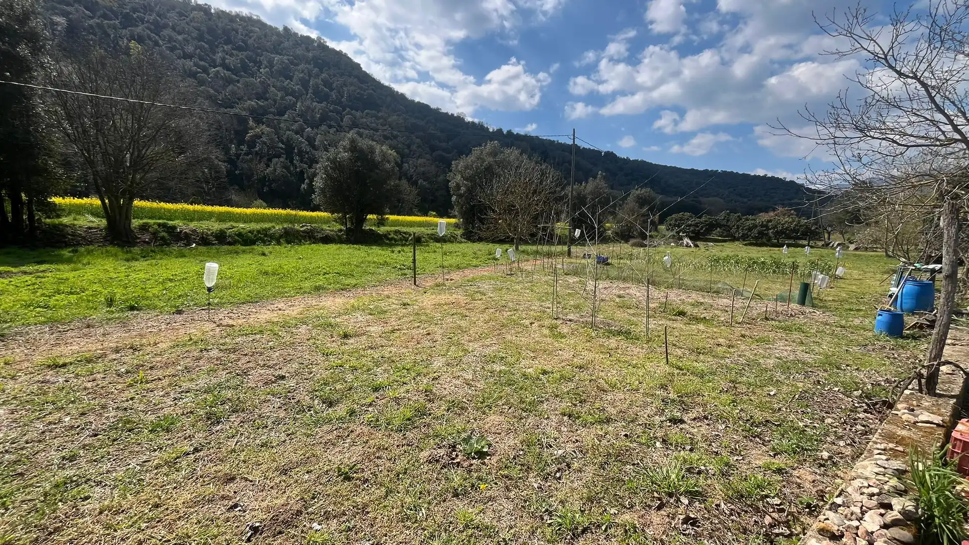 Maison rustique à vendre à Camino 51, imagen 49
