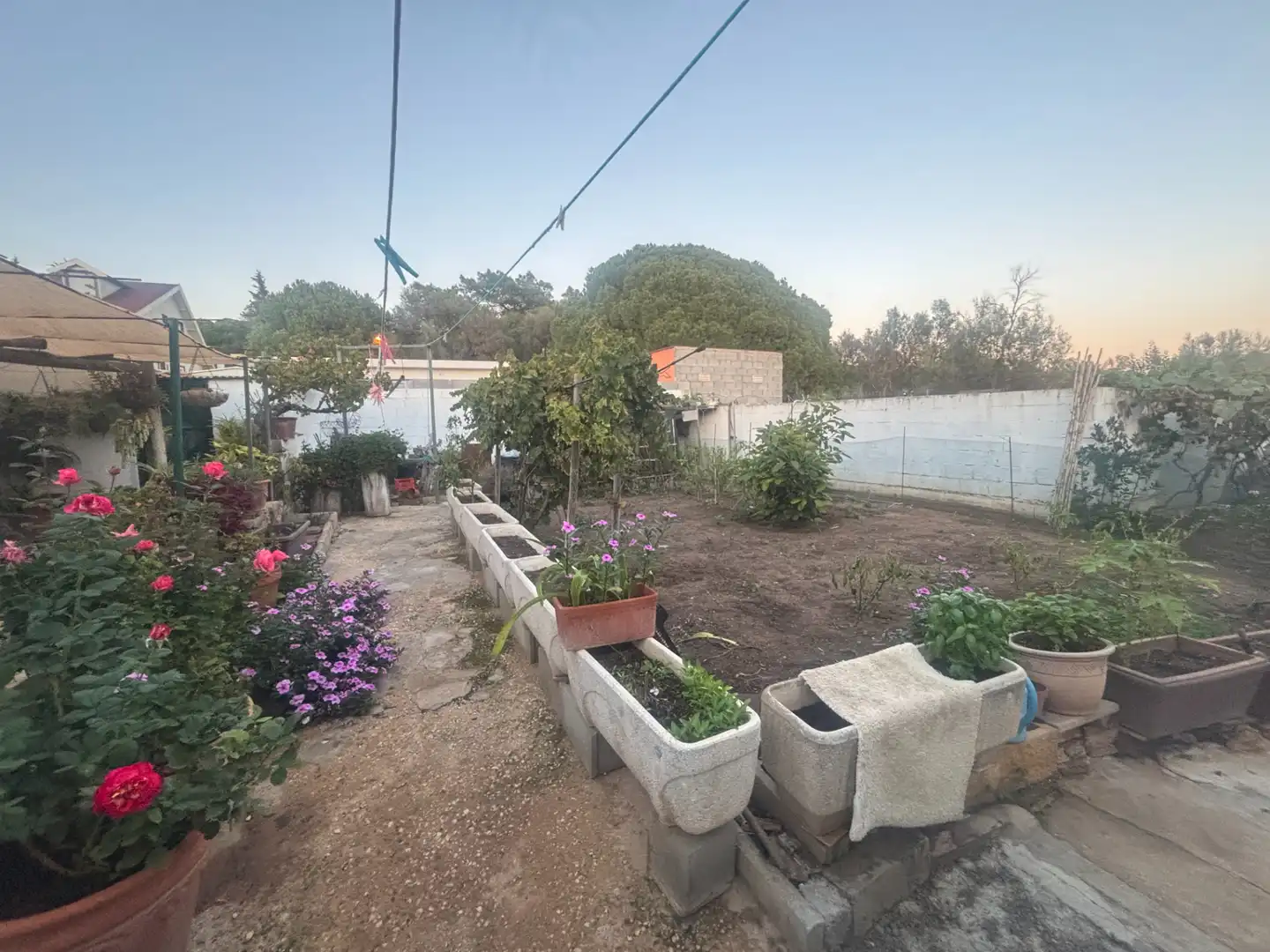 Jardín de Casa o chalet en venta en Marbella con Aire acondicionado, Calefacción y Jardín privado