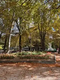 Local comercial de lloguer a Pintor Aurelio Verá-Fajardo Kalea 2, imagen 18