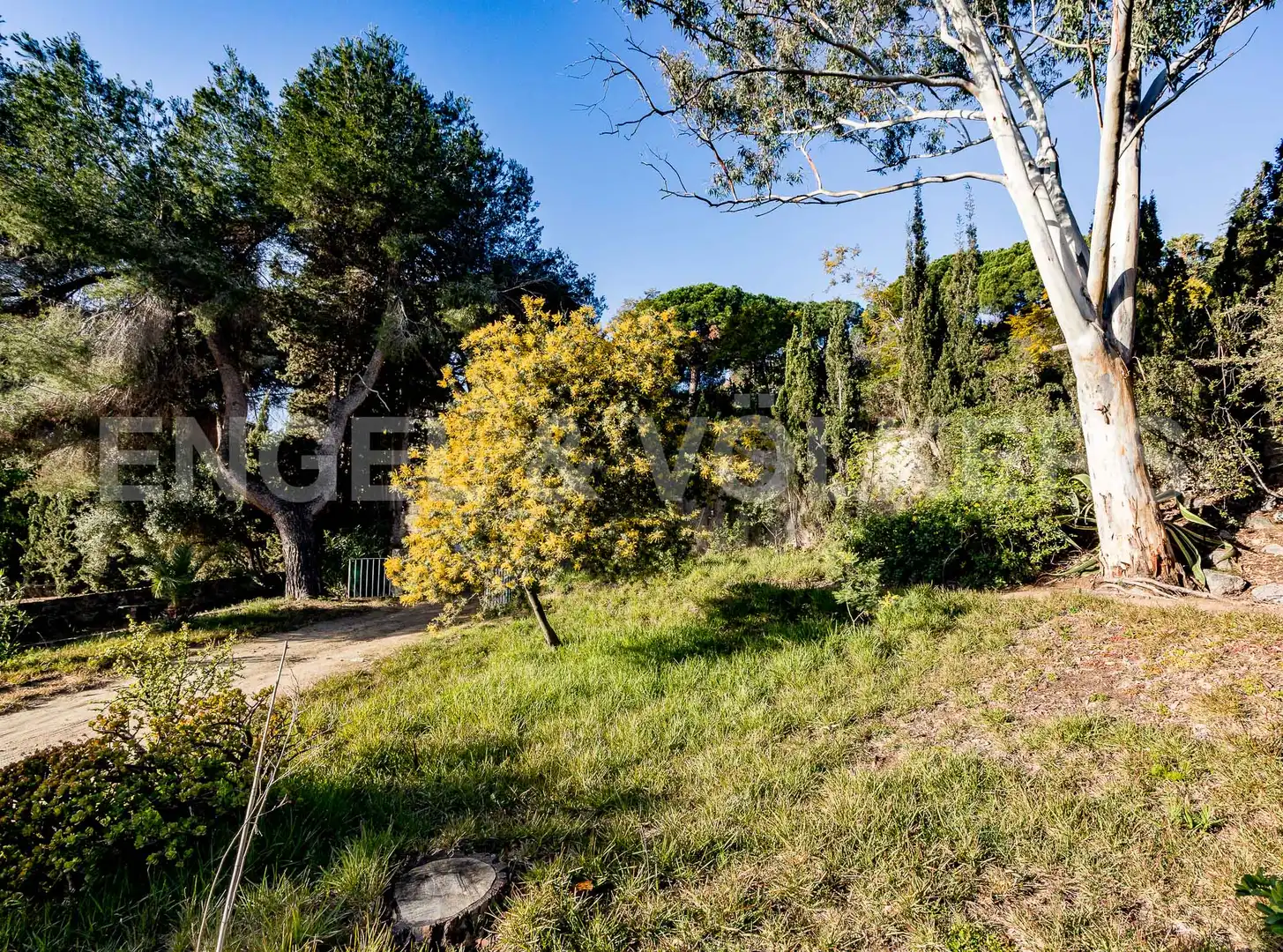 Casa amb terrassa en venda a Premià de Dalt, imagen 32