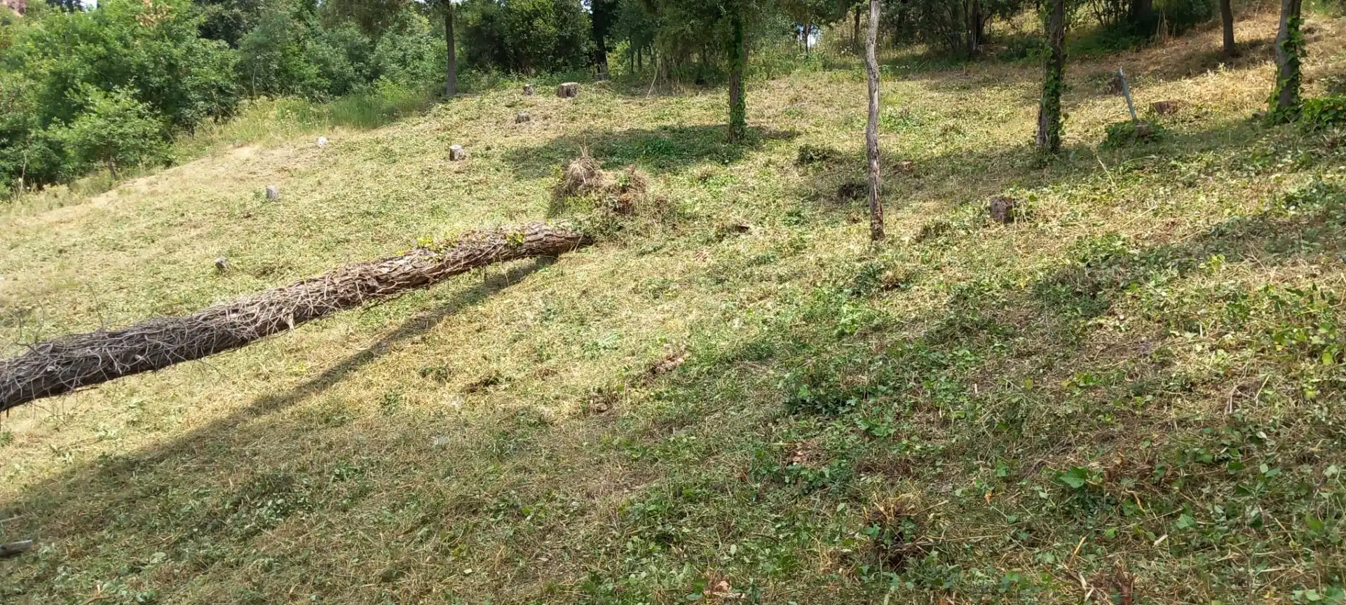 Terreni e lotti in vendita a Santa Maria de Palautordera, imagen 2