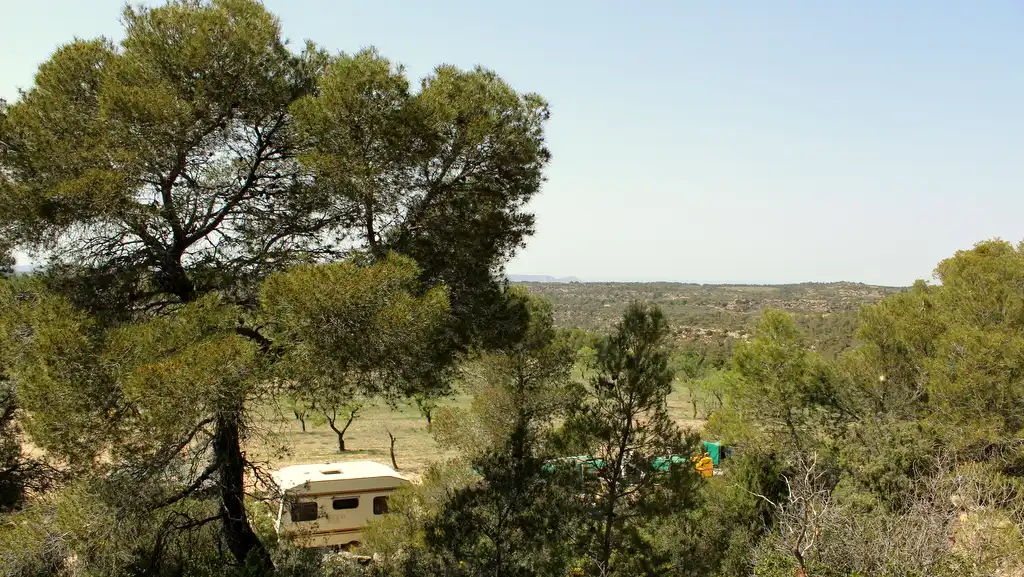 Finca rústica en venda en Maella