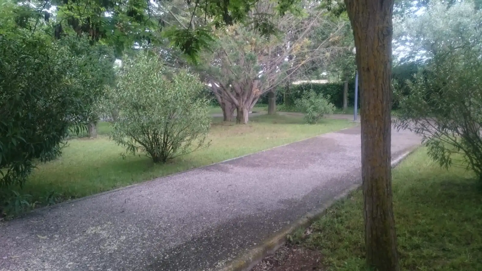 Casa o xalet en venda en Ainzón amb Calefacció, Jardí privat i Terrassa