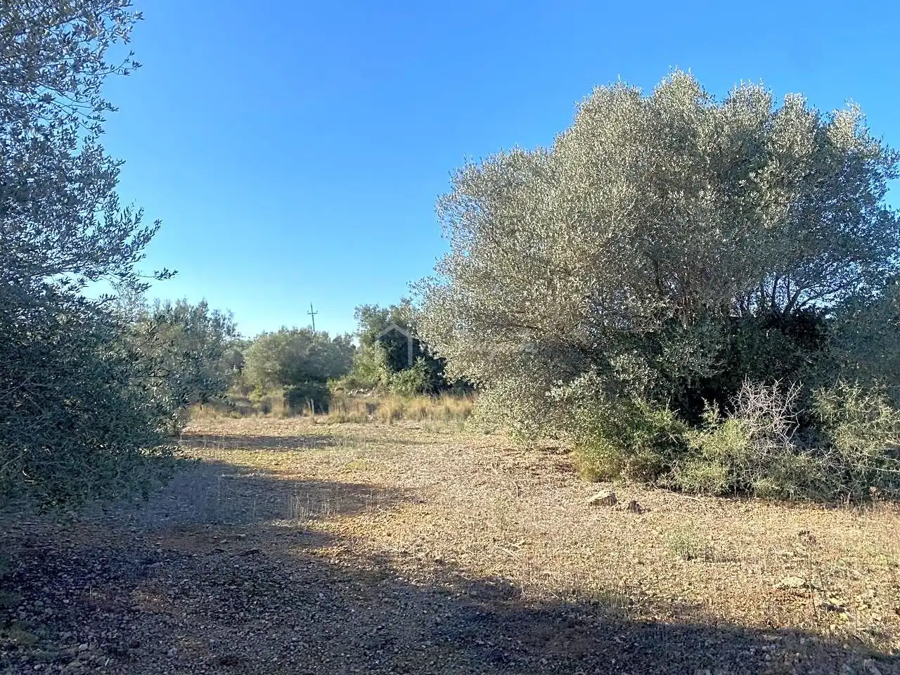 Terreno rustico in vendita a Pas de Berenguer, imagen 21
