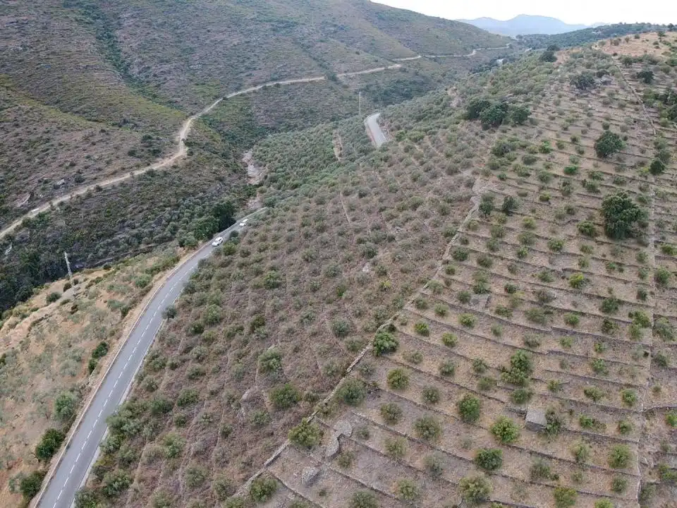 Lands and plots for sale in Territorio Surés, imagen 10