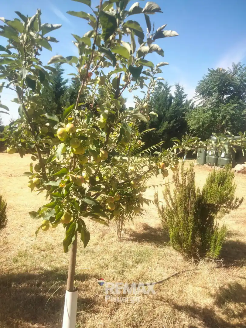 Terreni e lotti in vendita a Lugar Comun Viejo 2, imagen 9