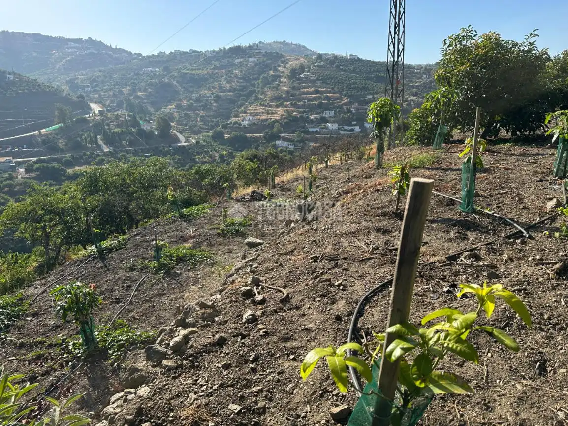 Terreni e lotti in vendita a Torrox Pueblo, imagen 10