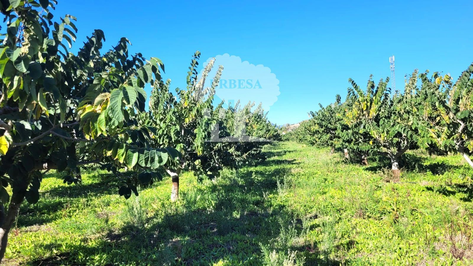 Grundstücke zum verkauf in Motril