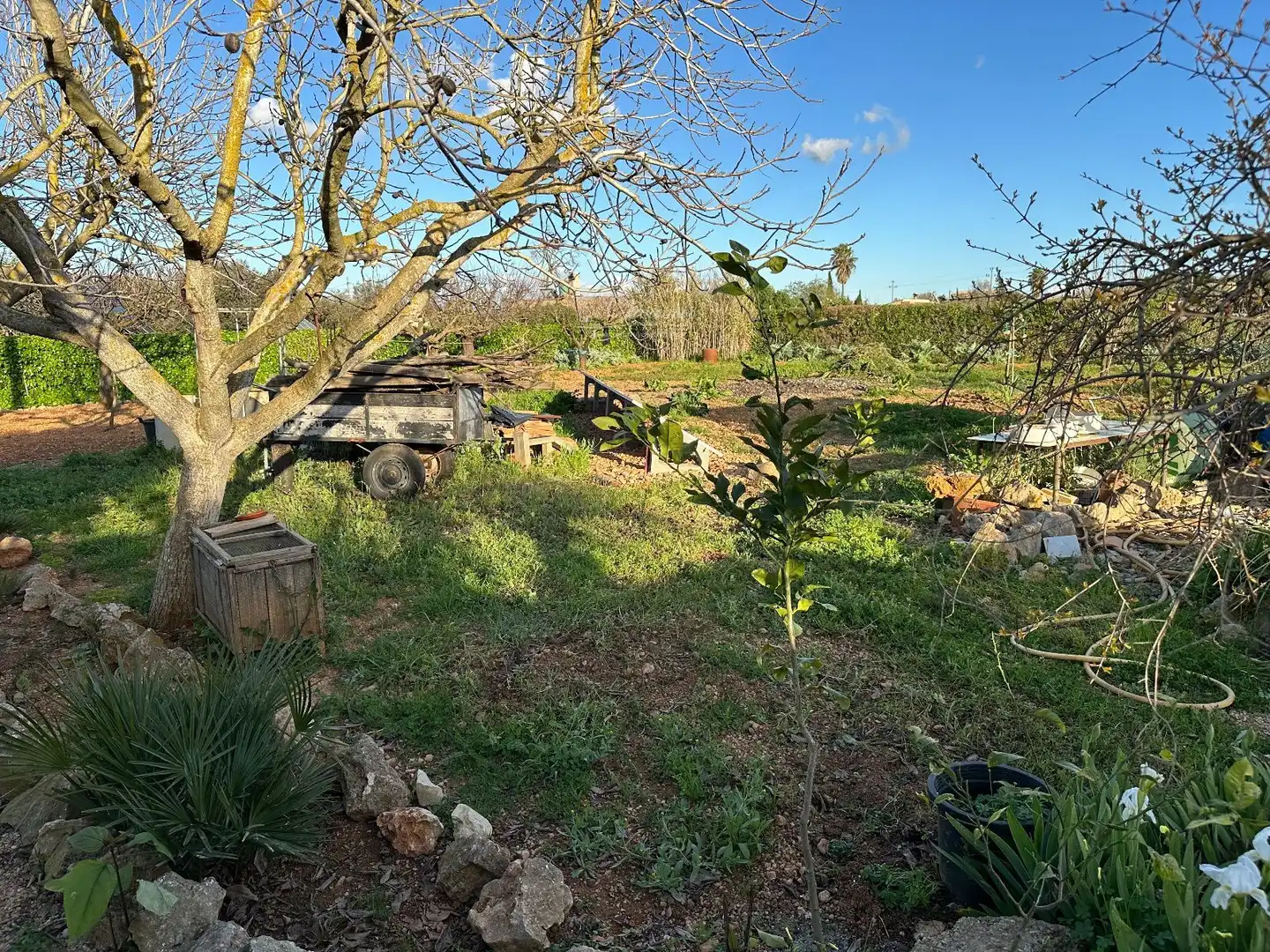 Villa con piscina in vendita a ma 3020, imagen 9