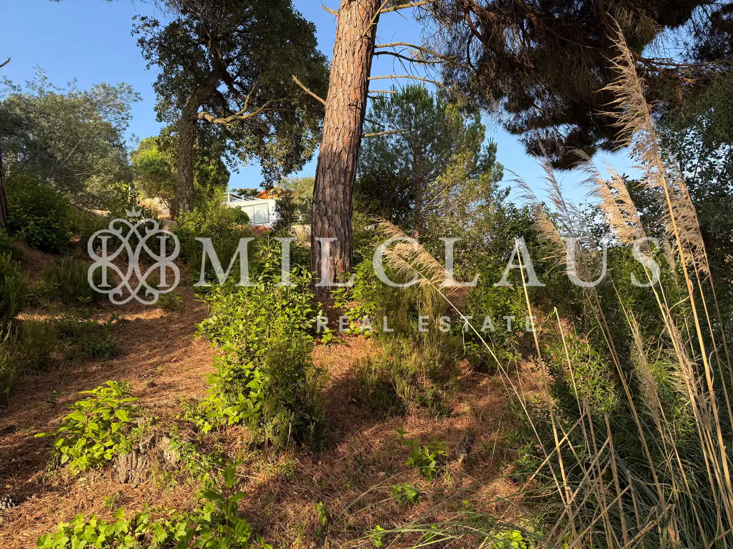 Residential land for sale in Carrer Júpiter, imagen 17