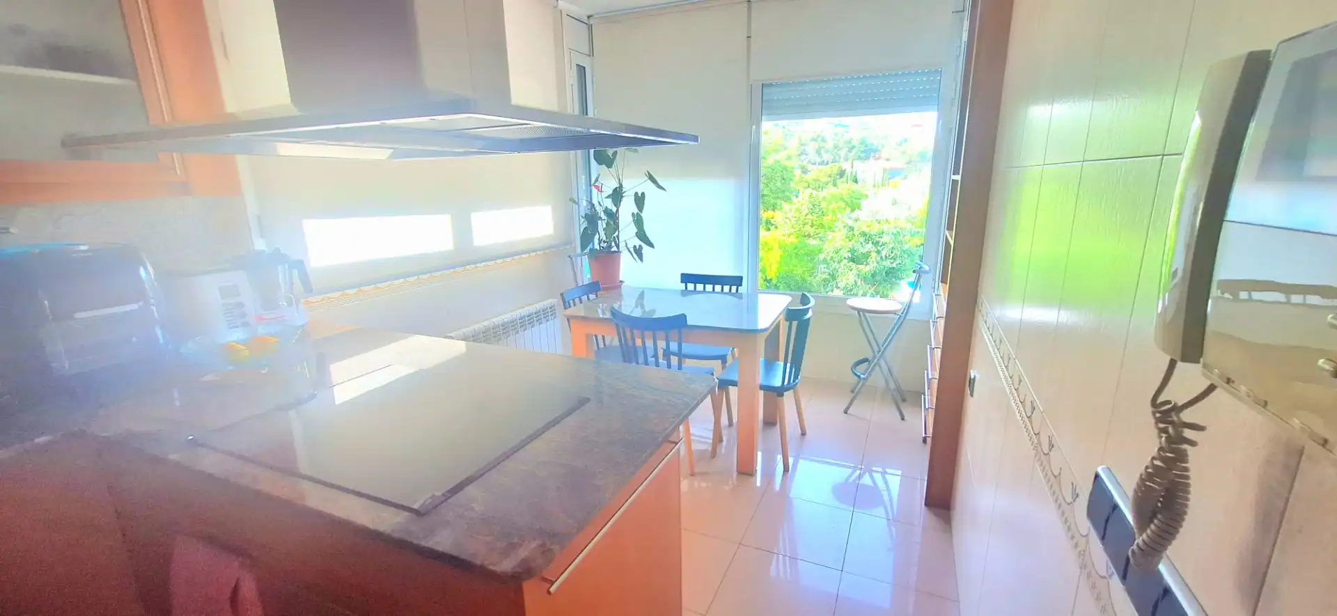 Casa o chalet en venta en Avinguda Til·lers, Mas Alba
