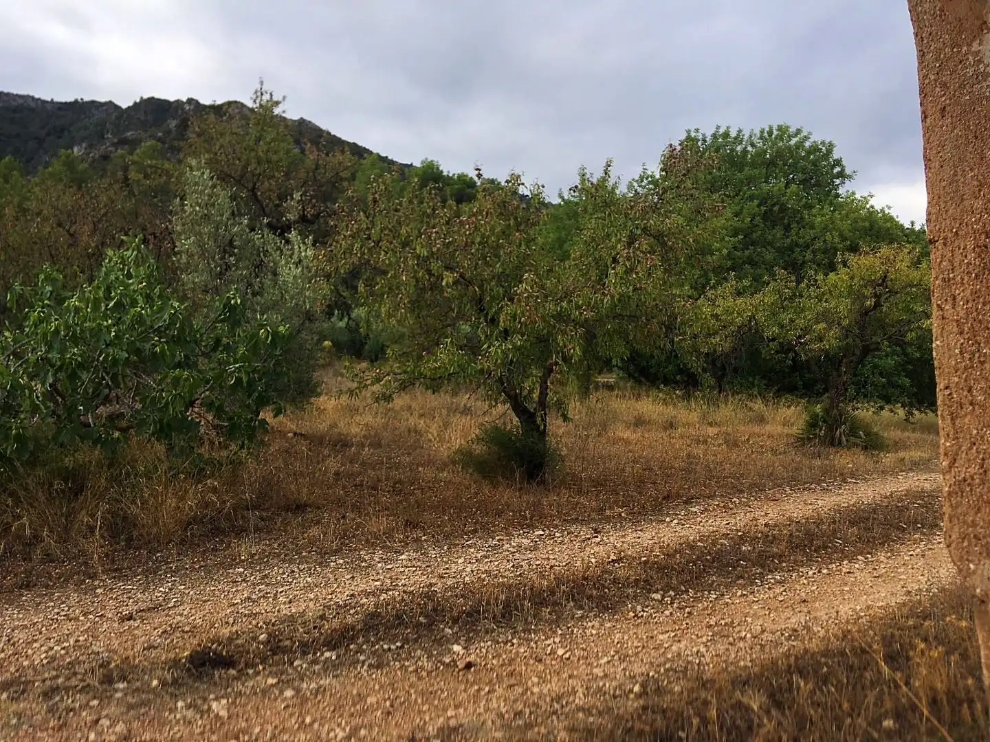 Finca rústica en venda en Benifallet
