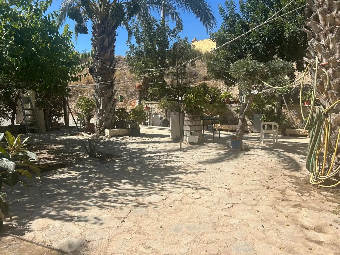 Vista exterior de Finca rústica en venda en Crevillent amb Calefacció, Terrassa i Traster