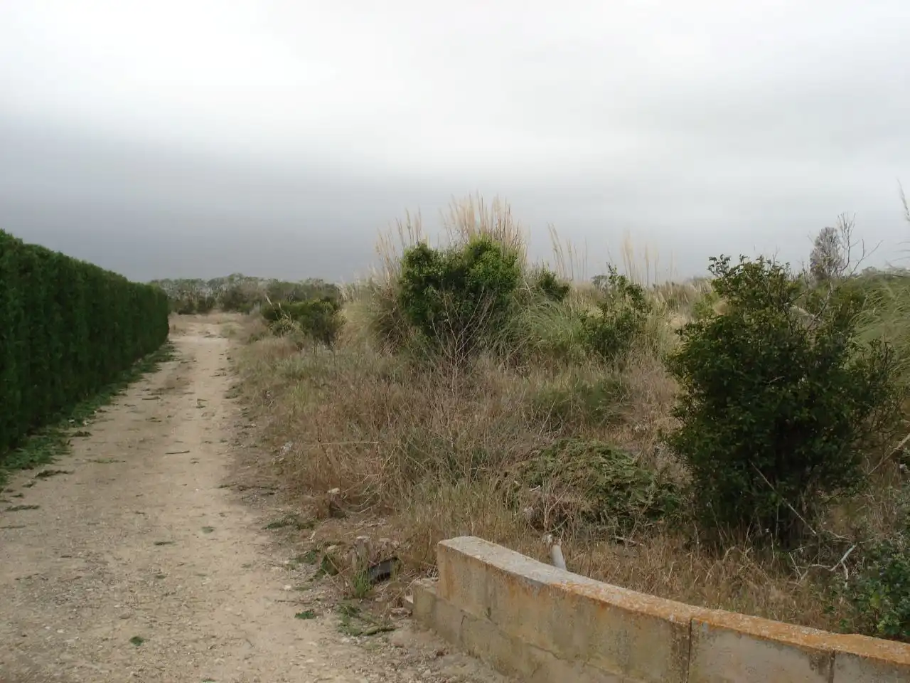 Terreny rústic en venda a El Marenyet, imagen 2