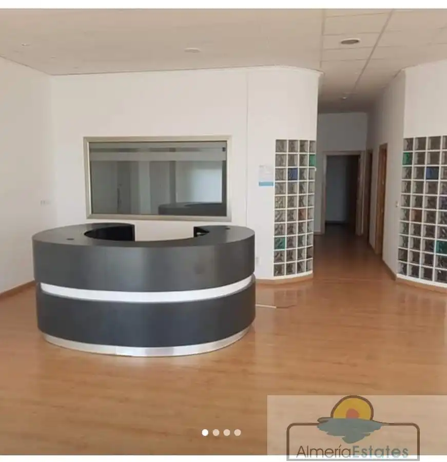 Business premises for sale in Albox