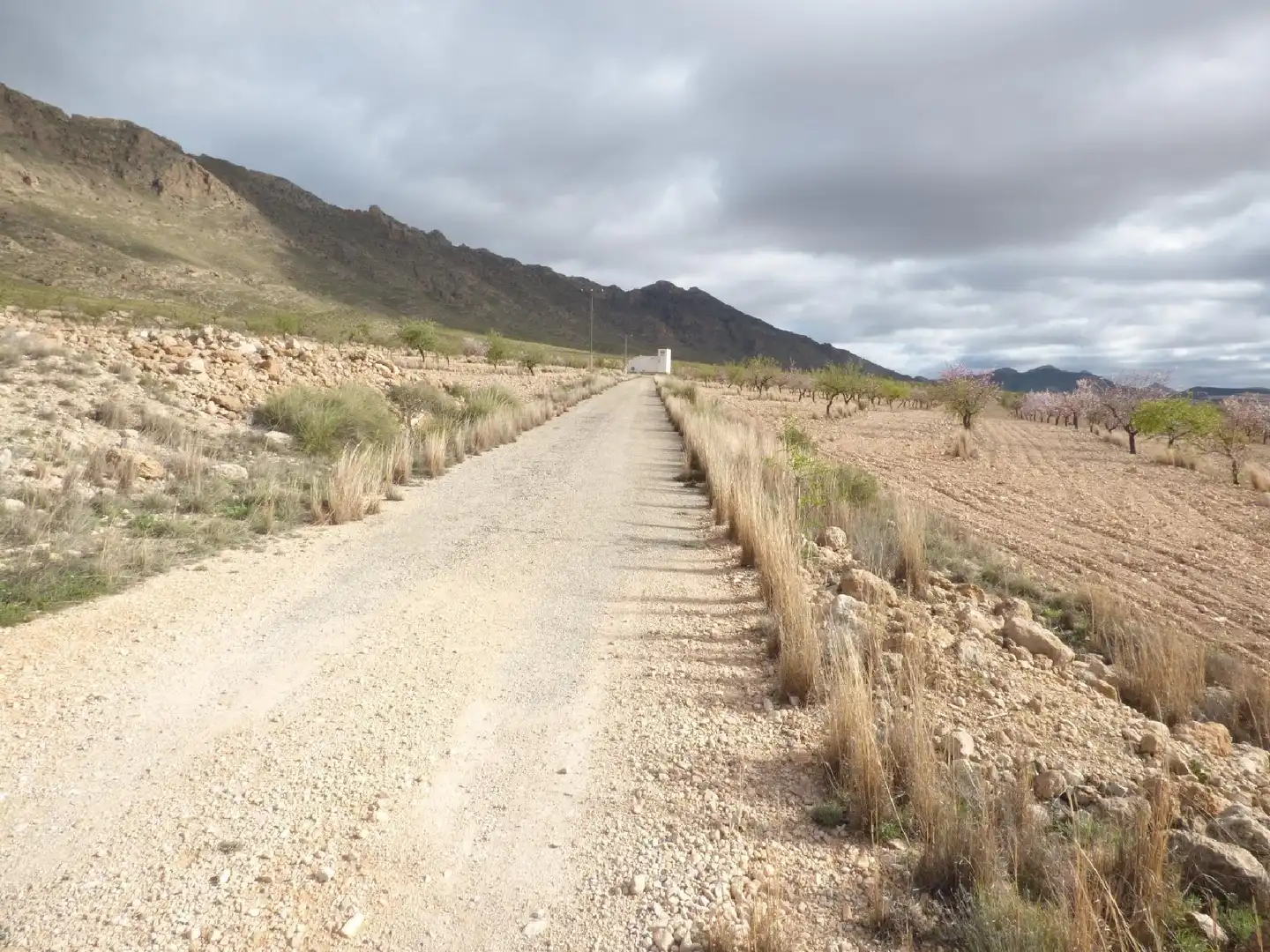 Rustikales Grundstück zum Verkauf in Jumilla, imagen 7