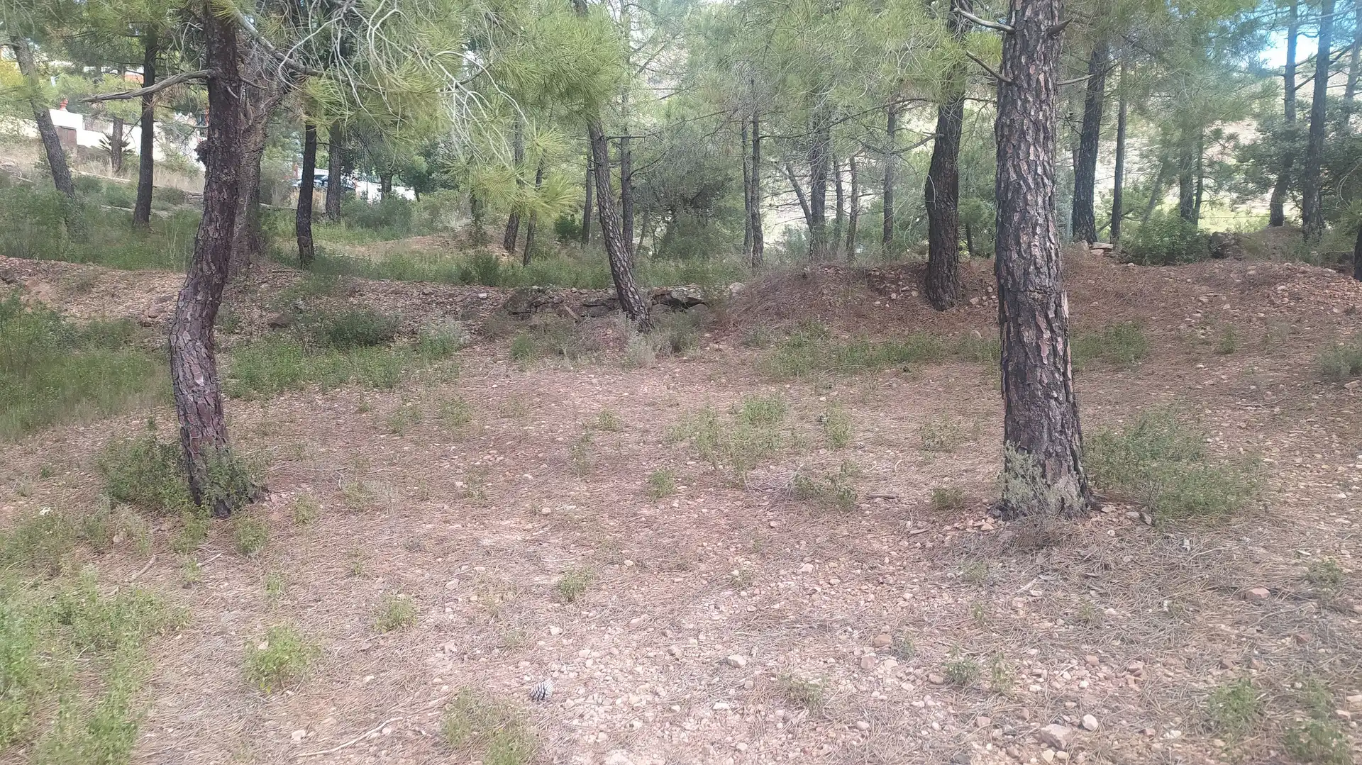 Residential land for sale in Gátova, imagen 4