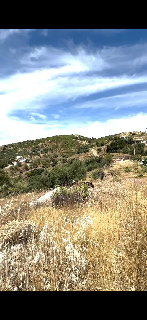 Land for sale in Sedella