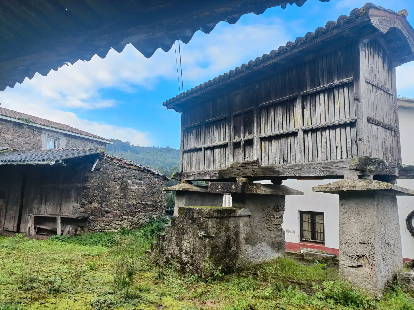 Vista exterior de Casa adosada en venta en Cesuras con Jardín privado y Trastero