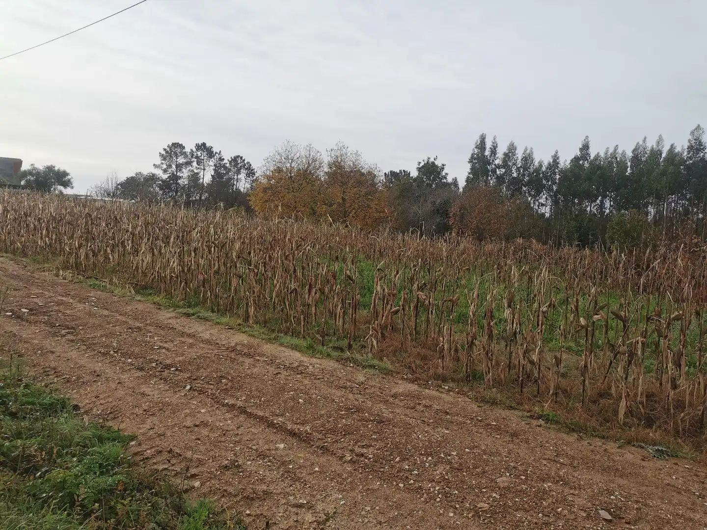 Terrain résidentiel à vendre à Bertamirans