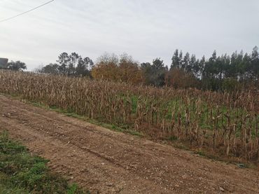 Terrain résidentiel à vendre à Bertamirans