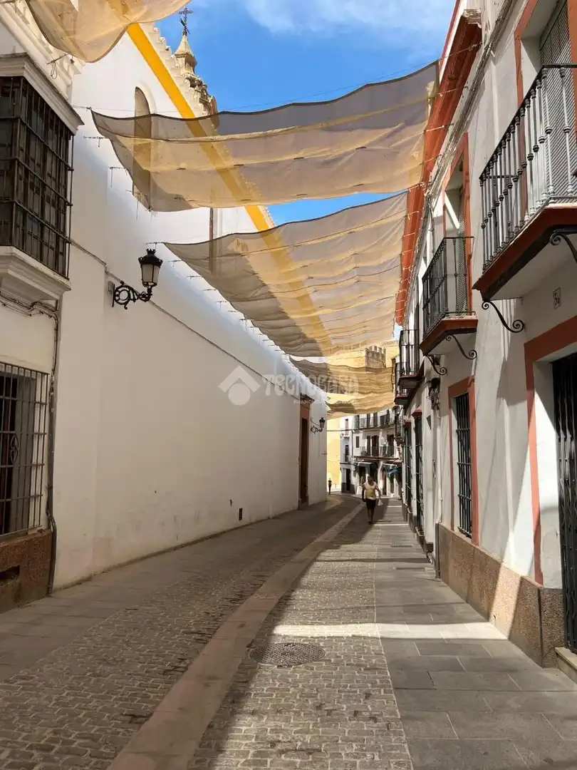 Vista exterior de Casa o xalet en venda en Carmona amb Aire condicionat, Calefacció i Moblat