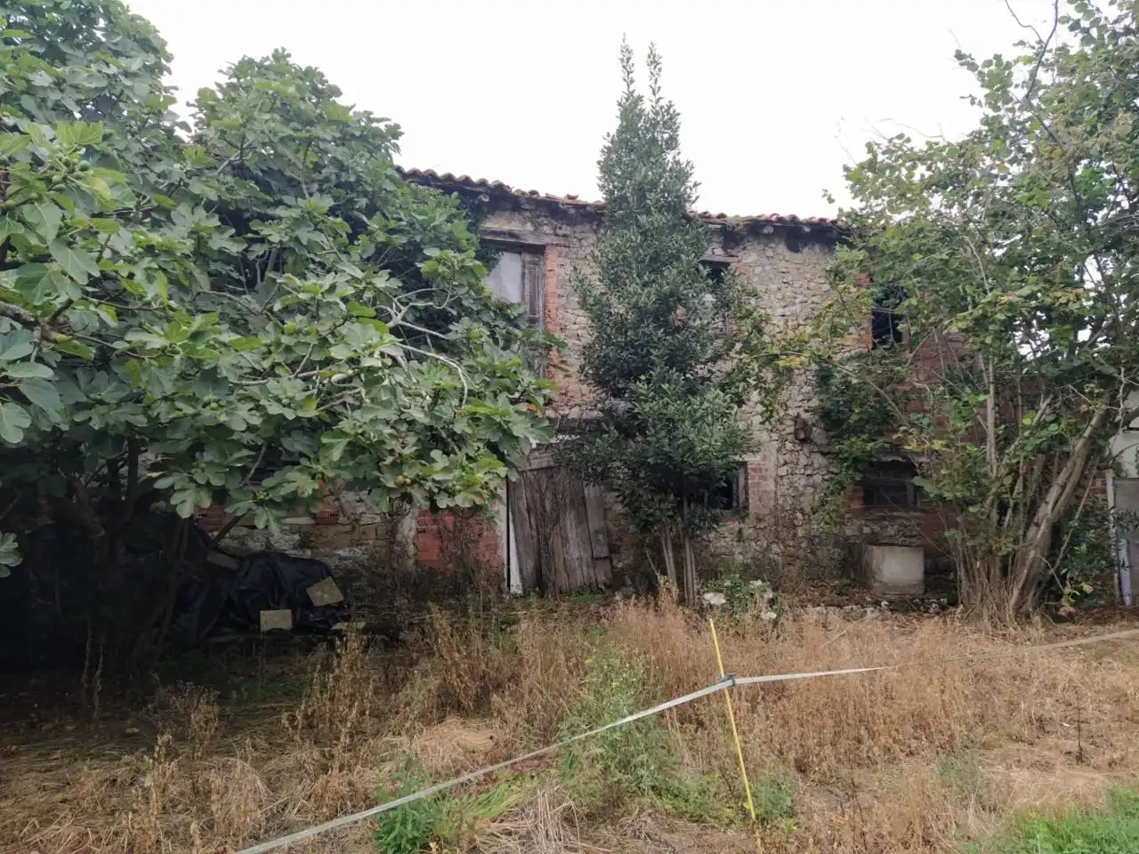 Terreny rústic en venda a Calle Rocillo, imagen 9