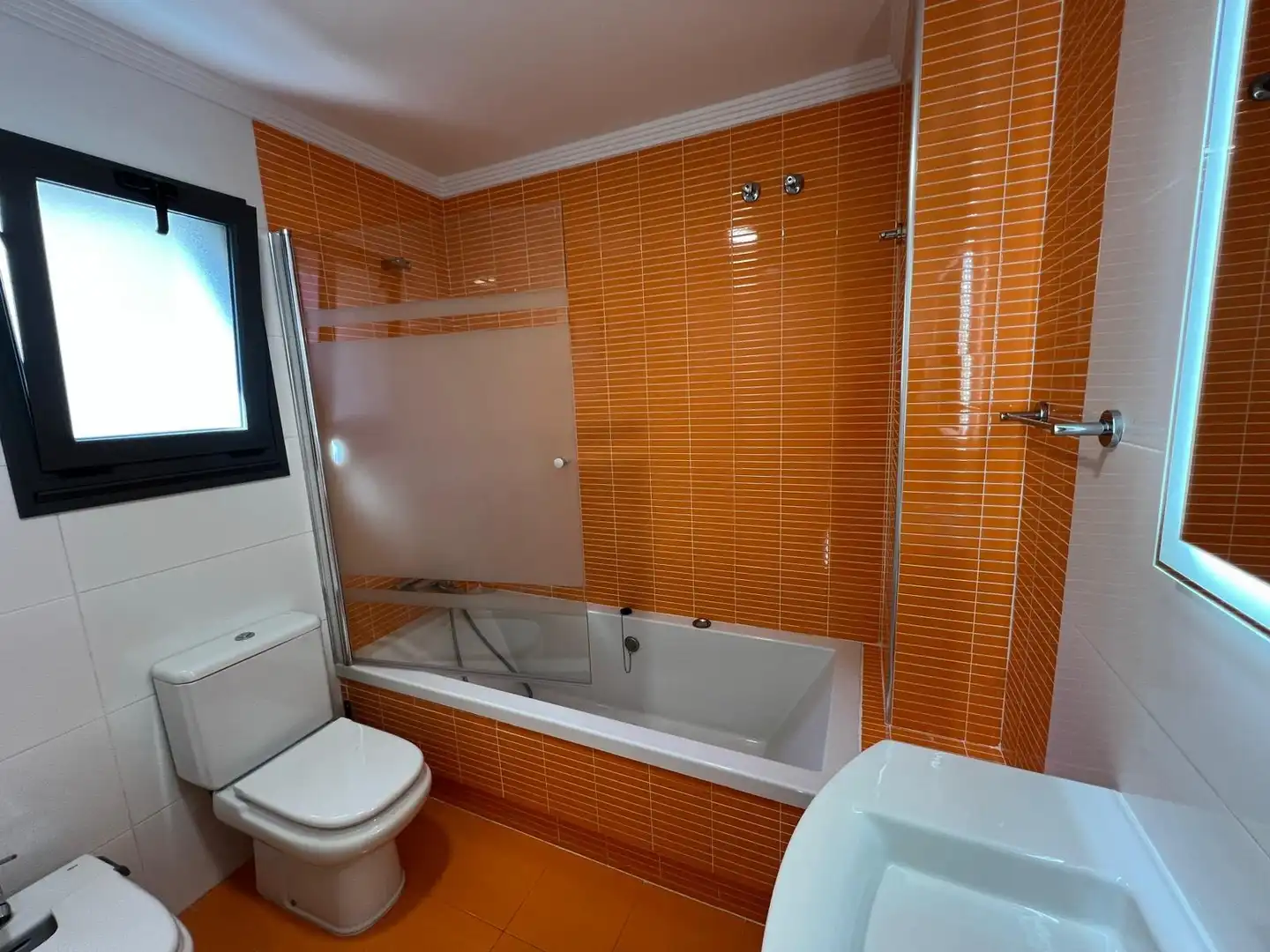 Appartamento con piscina in affitto a Nuevo Cáceres, imagen 19