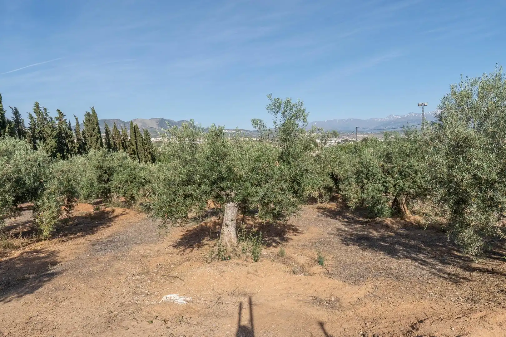Terreni e lotti in vendita a Albolote, imagen 17